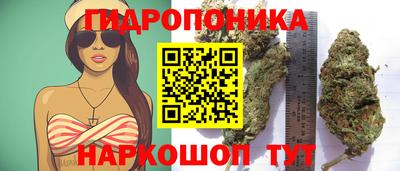 твердый Моздок