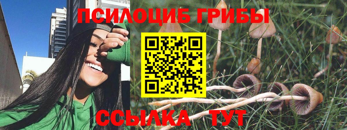 Ессентуки  Галлюциногенные грибы Psilocybine cubensis  Псилоцибиновые грибы GOLDEN TEACHER  Вход с VPN 