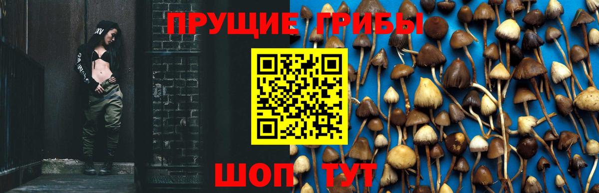 Галлюциногенные грибы ЛСД Ессентуки